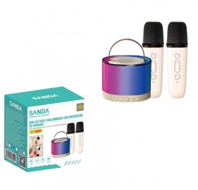 Mini altavoz Karaoke + 2 micros